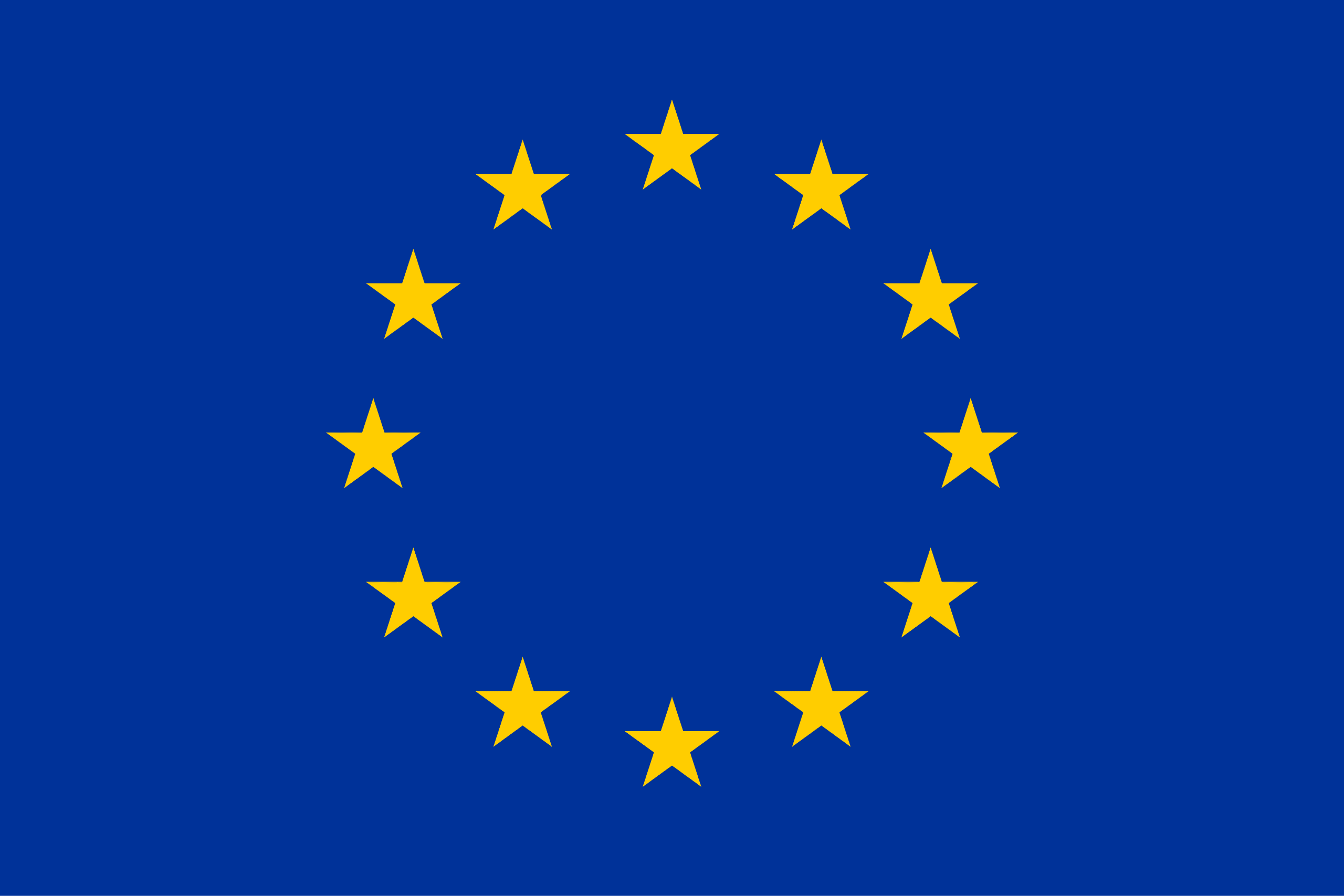 European Union flag